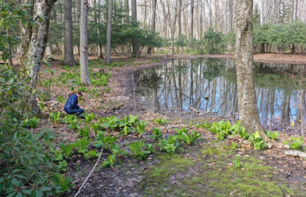 Graver Arboretum Muhlenberg College