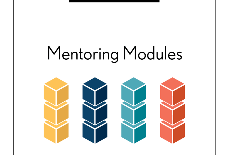 mentor modules