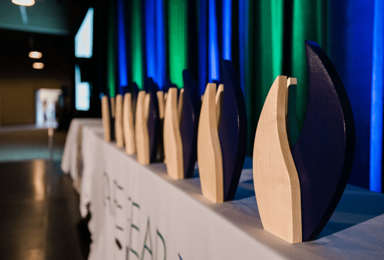 Cape Fear CREW 2025 awards lined up on table
