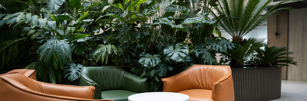 Modern office lounge area with green plants and leather chairs in corporate setting. Biophilic design and sustainable workplace decor.
