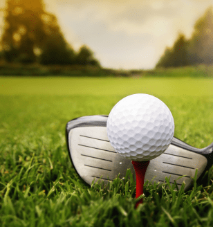 Golf club and ball in grass