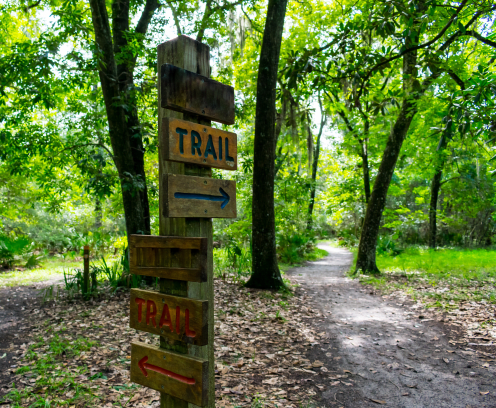 wooden trail sign where the nature path splits into two seen while hiking on a hot summer morning