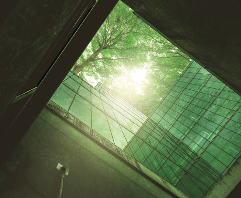 upward view of glass building surrounded by trrees