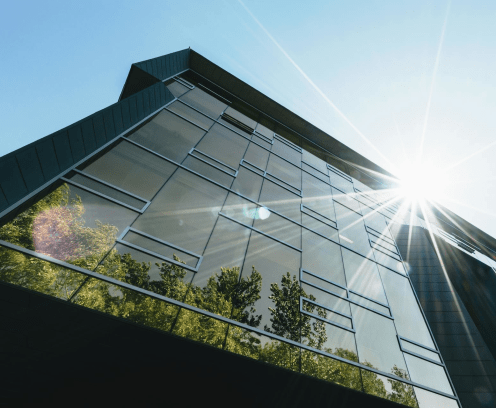 Building wit glass windows and plant reflection