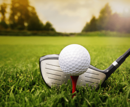 Golf club and ball in grass