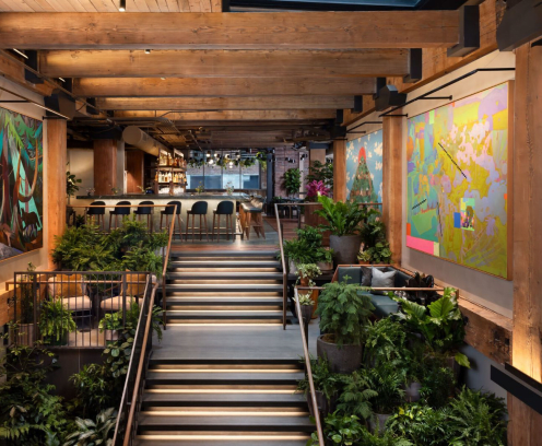 art gallery with plants next to stairs and a bar at the top
