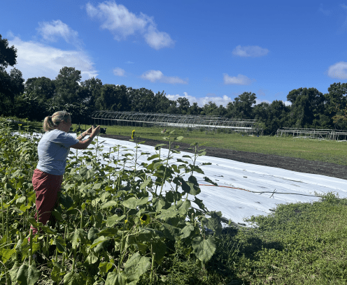 Women taking photos at the life farms.