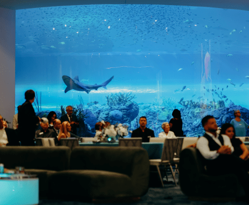 SEA MOTE’s Gulf Coast Gallery