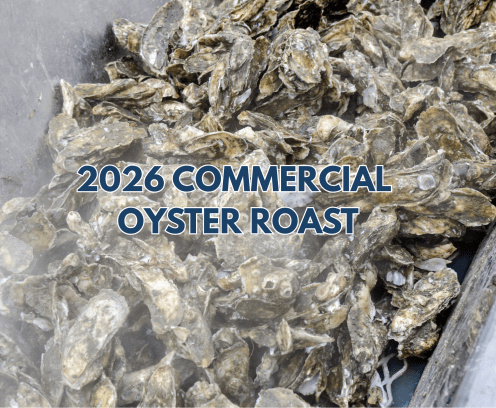 oyster roast