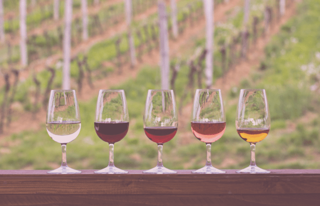 wine glasses
