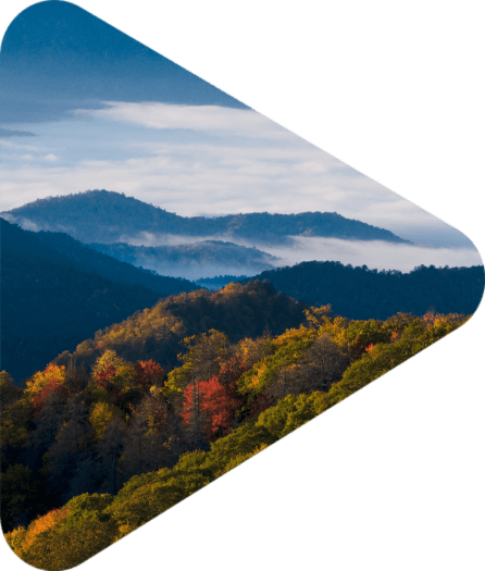 Fall colors in the Smoky Mountains National Park