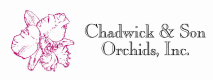 chadwick-and-sons-orchids