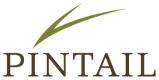 Pintail logo