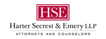 HSE logo