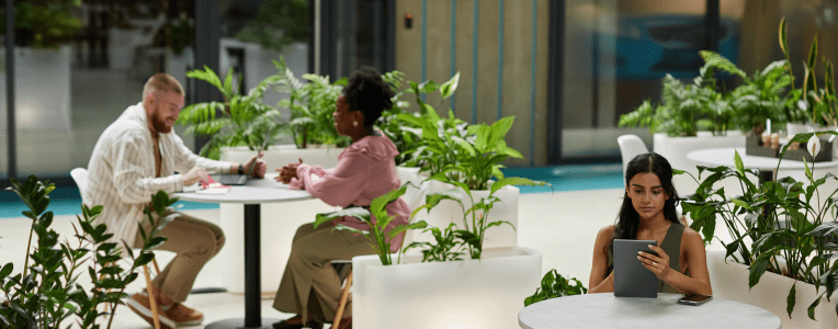 Wide angle shot of woman using tablet while sitting at table in cafe of office building. Business people working in cozy cafe featuring modern biophilic design