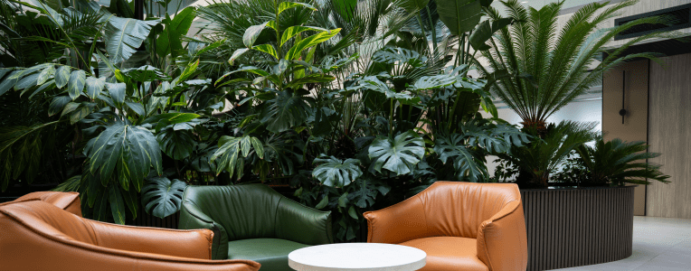 Modern office lounge area with green plants and leather chairs in corporate setting. Biophilic design and sustainable workplace decor.