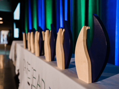 Cape Fear CREW 2025 awards lined up on table