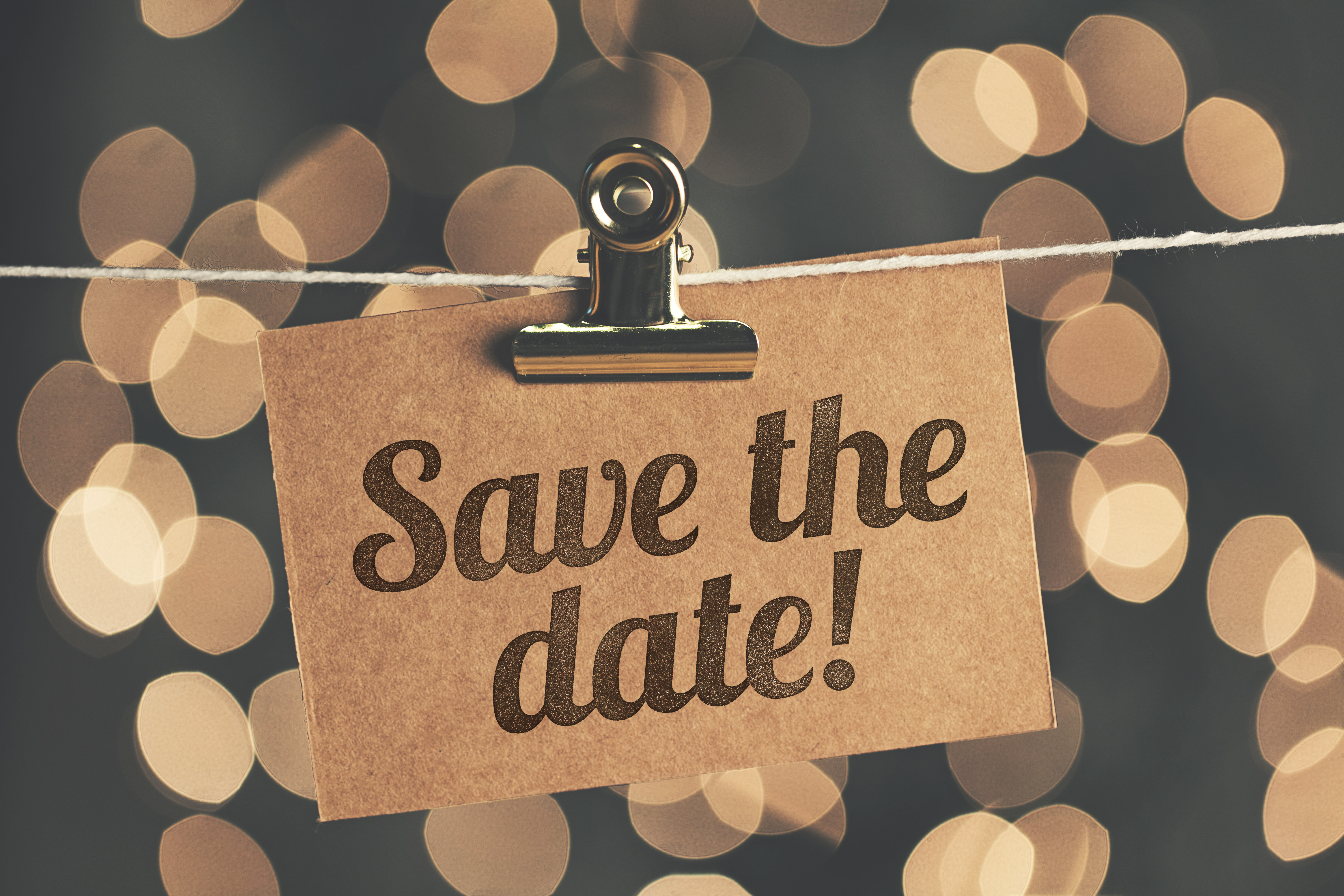 Save  The Date Sign Lights