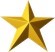 a gold star