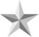a silver star